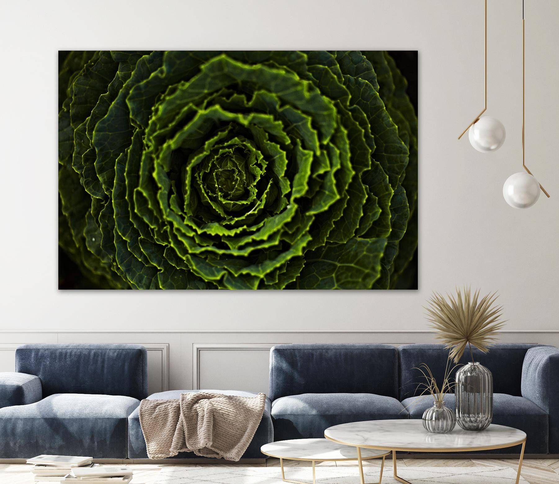 Cabbage II by Peter Morneau on GIANT ART - green photo art