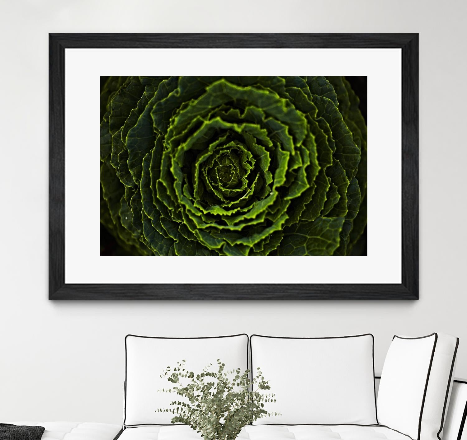 Cabbage II by Peter Morneau on GIANT ART - green photo art