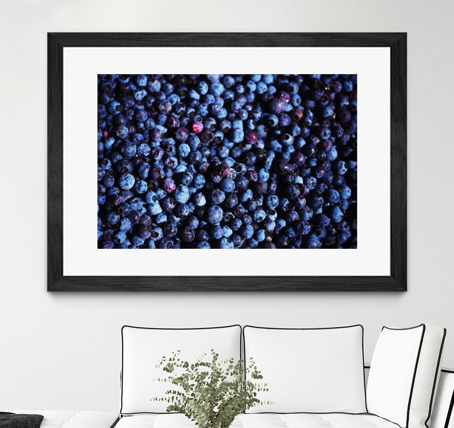 Blueberries II by Peter Morneau on GIANT ART - blue photo art