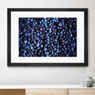 Blueberries II by Peter Morneau on GIANT ART - blue photo art