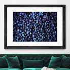 Blueberries II by Peter Morneau on GIANT ART - blue photo art