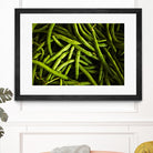 Greens I by Peter Morneau on GIANT ART - black photo art