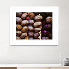 Garlic by Peter Morneau on GIANT ART - purple photo art