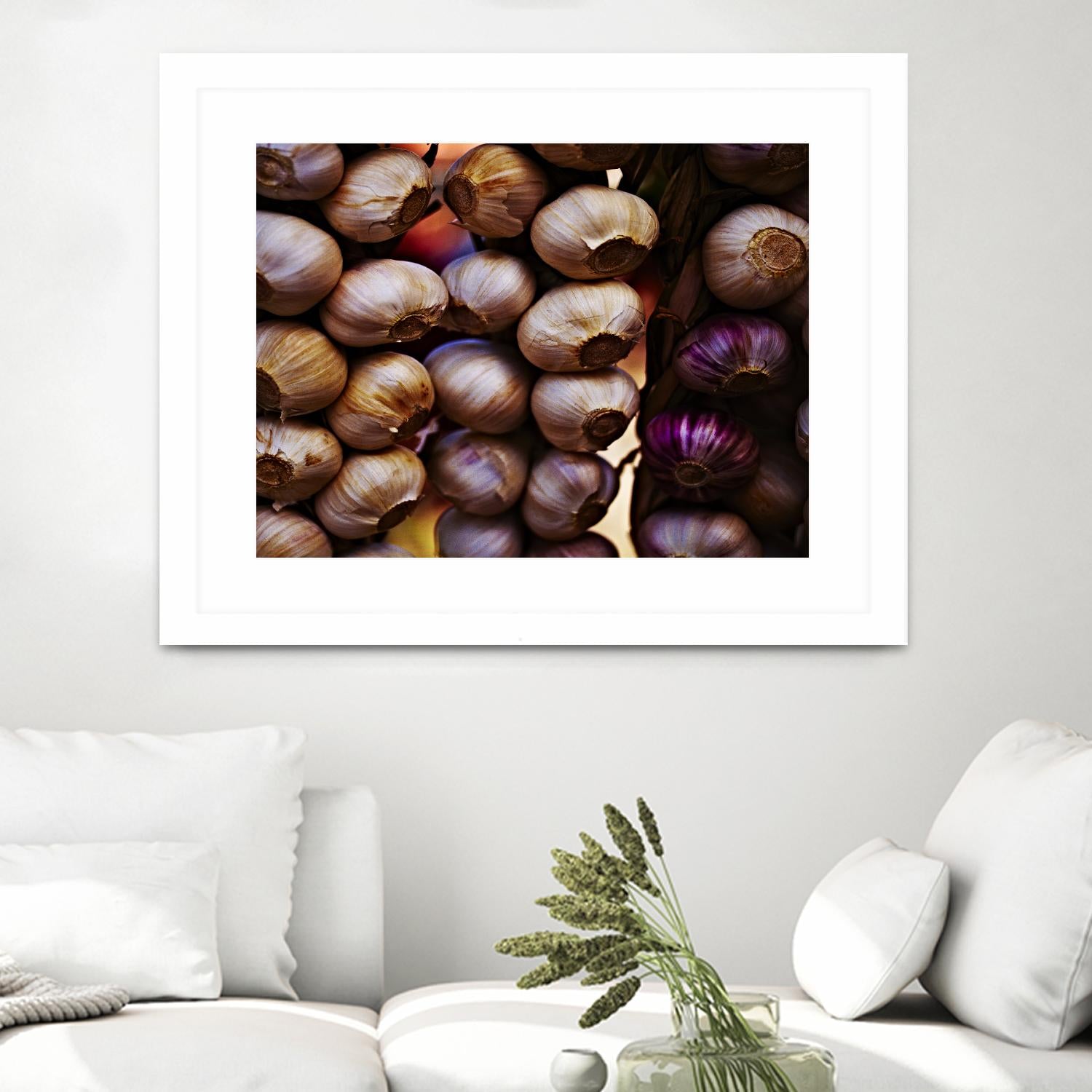 Garlic by Peter Morneau on GIANT ART - purple photo art