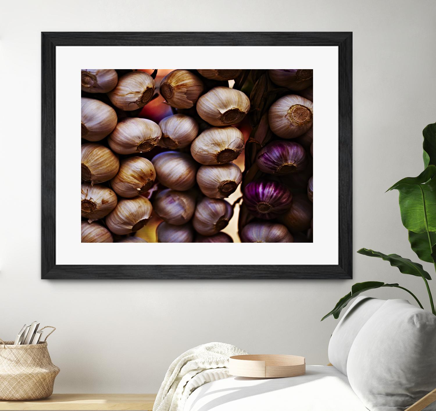 Garlic by Peter Morneau on GIANT ART - purple photo art