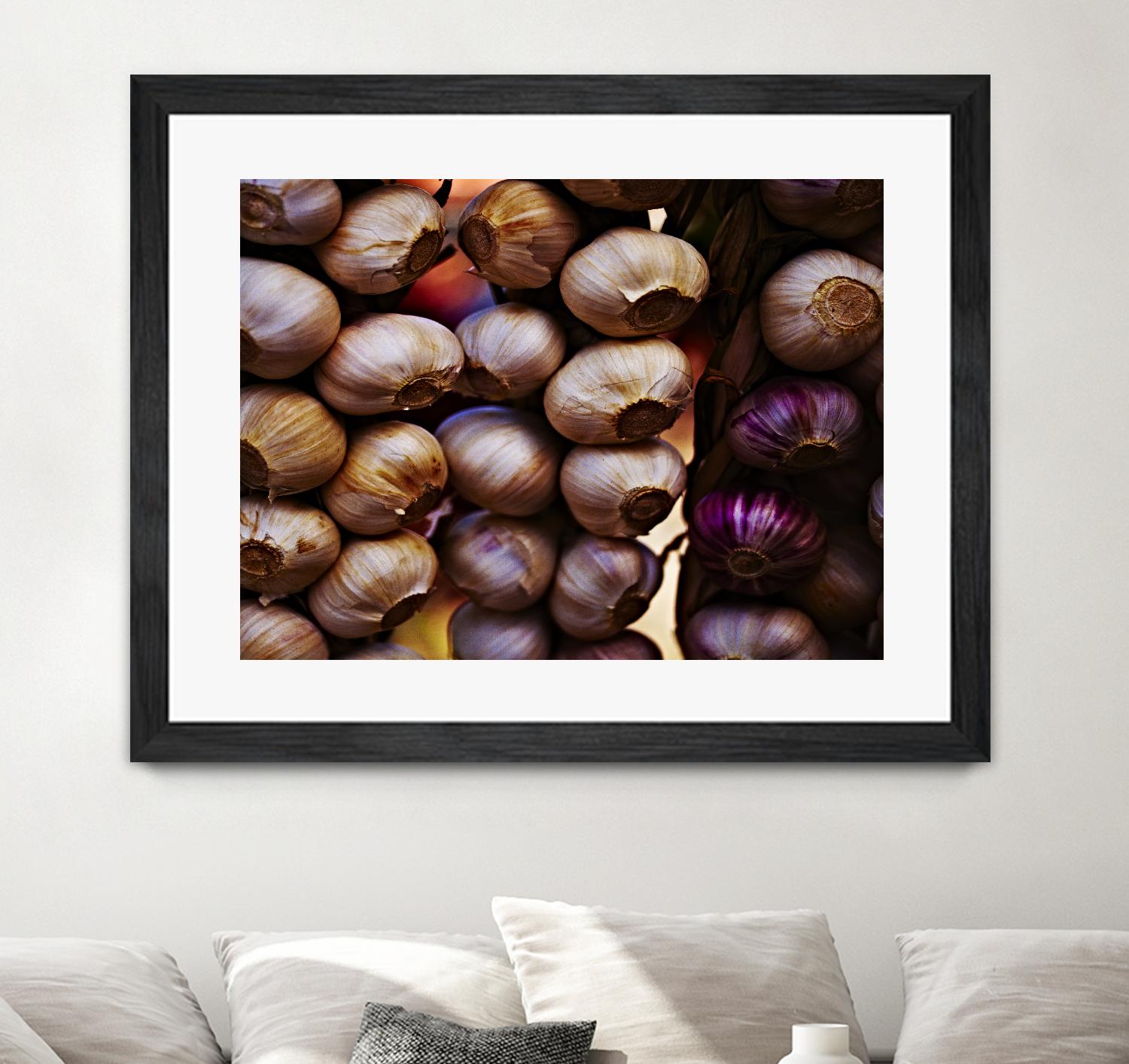 Garlic by Peter Morneau on GIANT ART - purple photo art