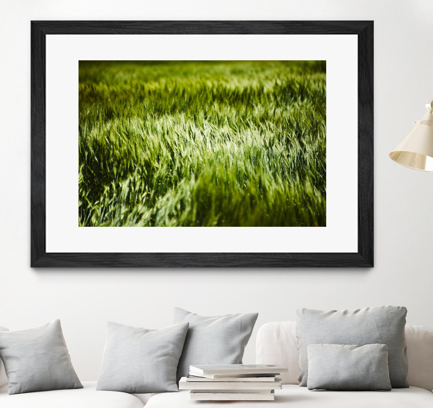 Grass IV by Peter Morneau on GIANT ART - green photo art