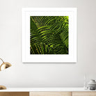 Leaves III by Peter Morneau on GIANT ART - green photo art