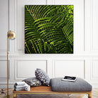 Leaves III by Peter Morneau on GIANT ART - green photo art