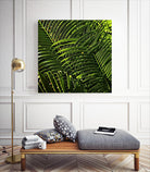 Leaves III by Peter Morneau on GIANT ART - green photo art