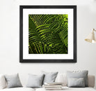 Leaves III by Peter Morneau on GIANT ART - green photo art