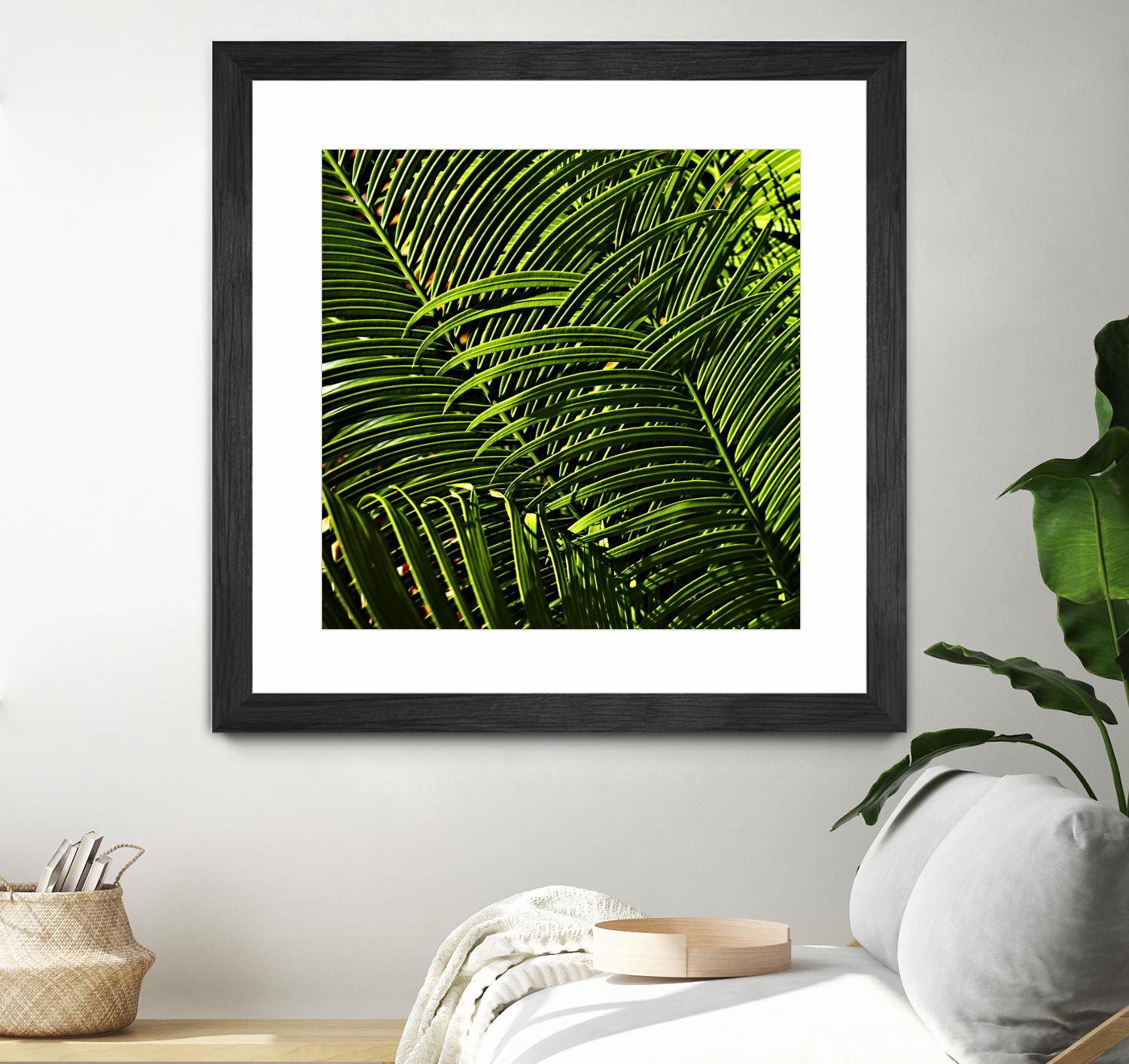 Leaves III by Peter Morneau on GIANT ART - green photo art