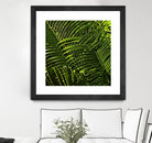 Leaves III by Peter Morneau on GIANT ART - green photo art