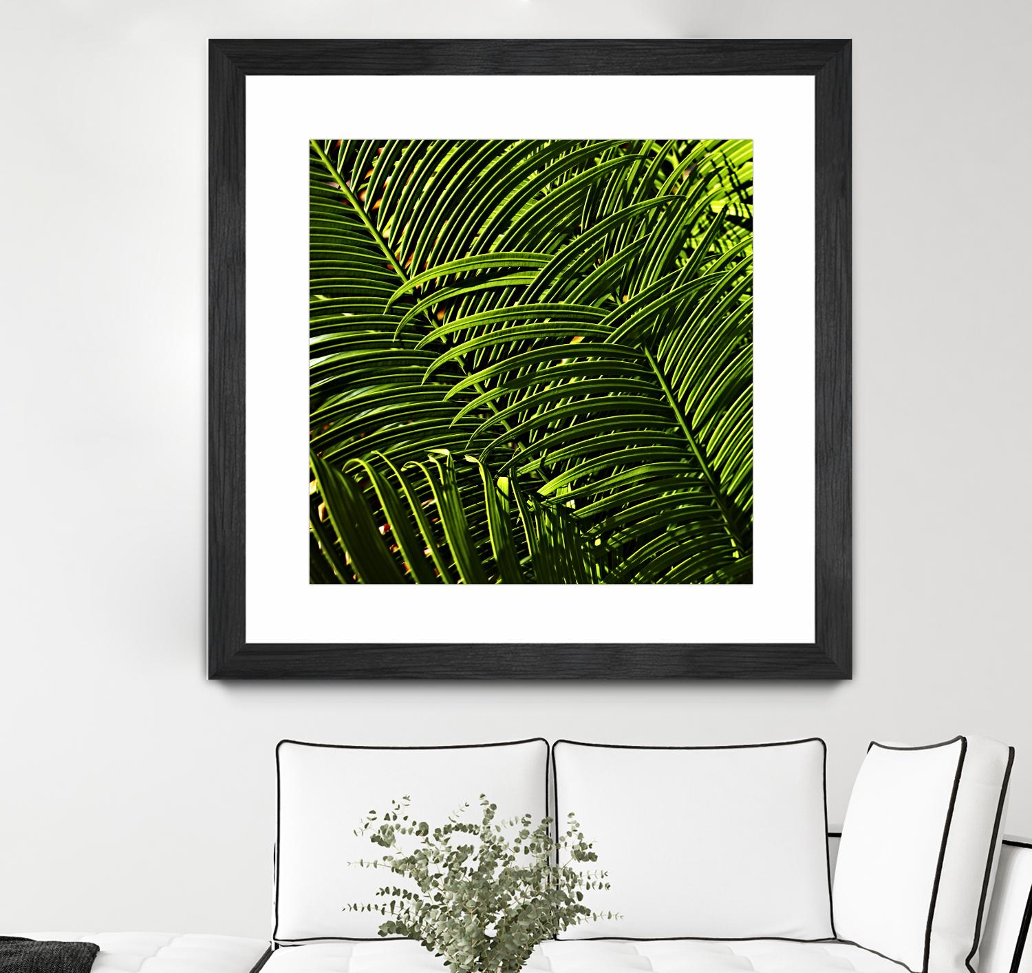 Leaves III by Peter Morneau on GIANT ART - green photo art
