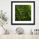 Leaves III by Peter Morneau on GIANT ART - green photo art