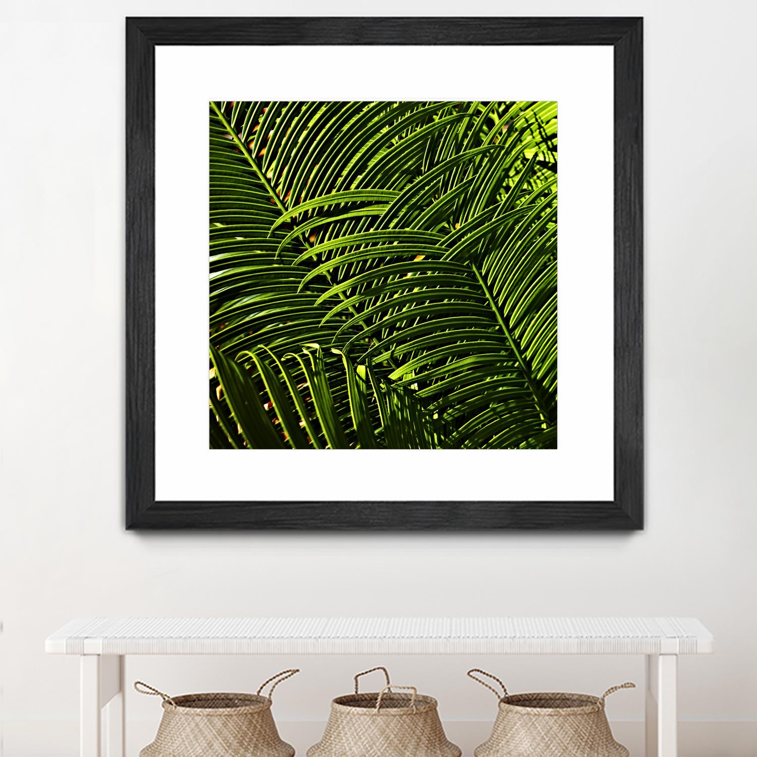 Leaves III by Peter Morneau on GIANT ART - green photo art