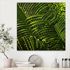 Leaves III by Peter Morneau on GIANT ART - green photo art