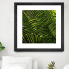 Leaves III by Peter Morneau on GIANT ART - green photo art