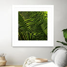 Leaves III by Peter Morneau on GIANT ART - green photo art