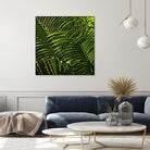 Leaves III by Peter Morneau on GIANT ART - green photo art