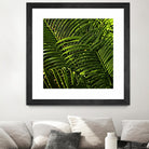 Leaves III by Peter Morneau on GIANT ART - green photo art