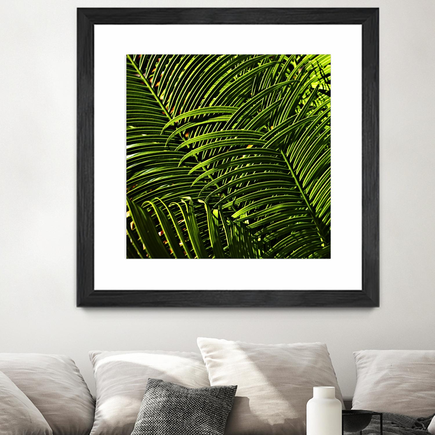 Leaves III by Peter Morneau on GIANT ART - green photo art