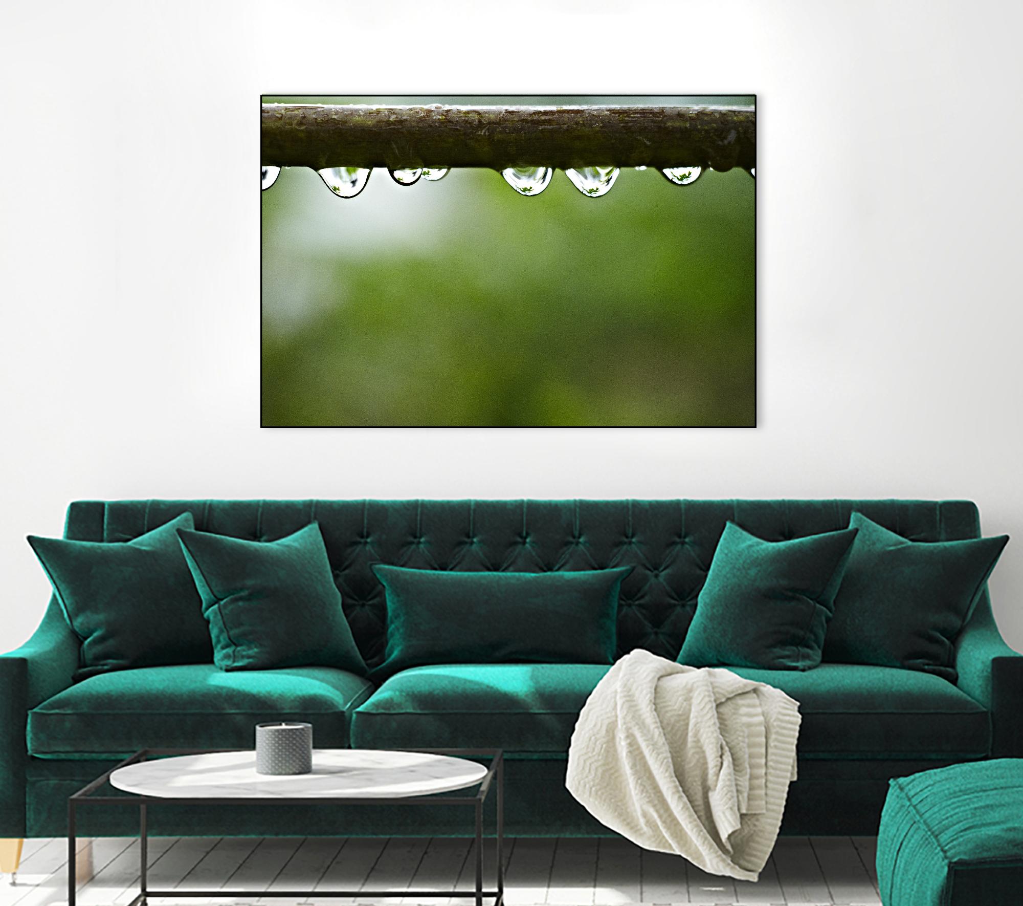 Drops of water II by Peter Morneau on GIANT ART - brown photo art