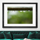 Drops of water II by Peter Morneau on GIANT ART - brown photo art