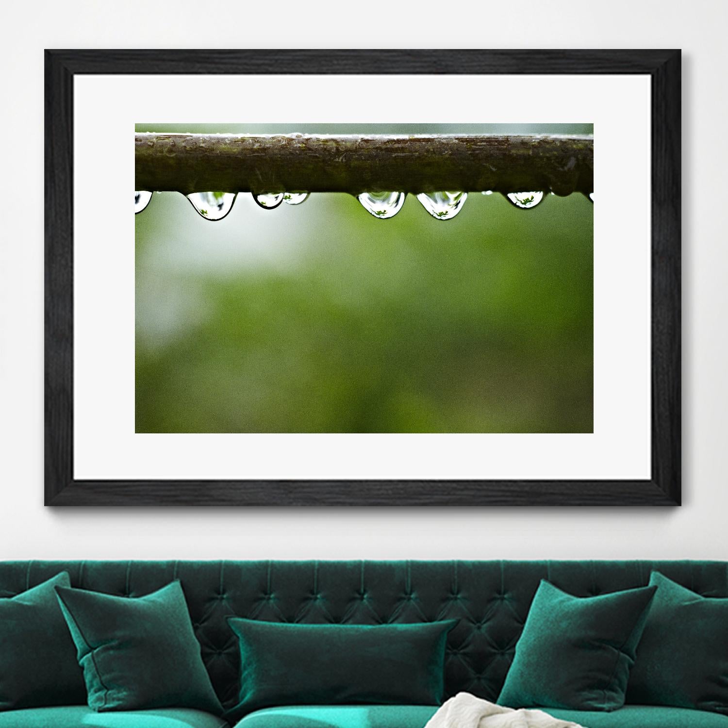Drops of water II by Peter Morneau on GIANT ART - brown photo art