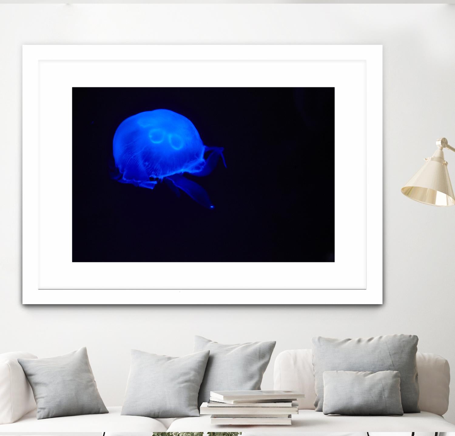 Blue and black III by Peter Morneau on GIANT ART - black photo art