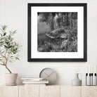 First Frost II by Jean-François Dupuis on GIANT ART - white black & white reflection