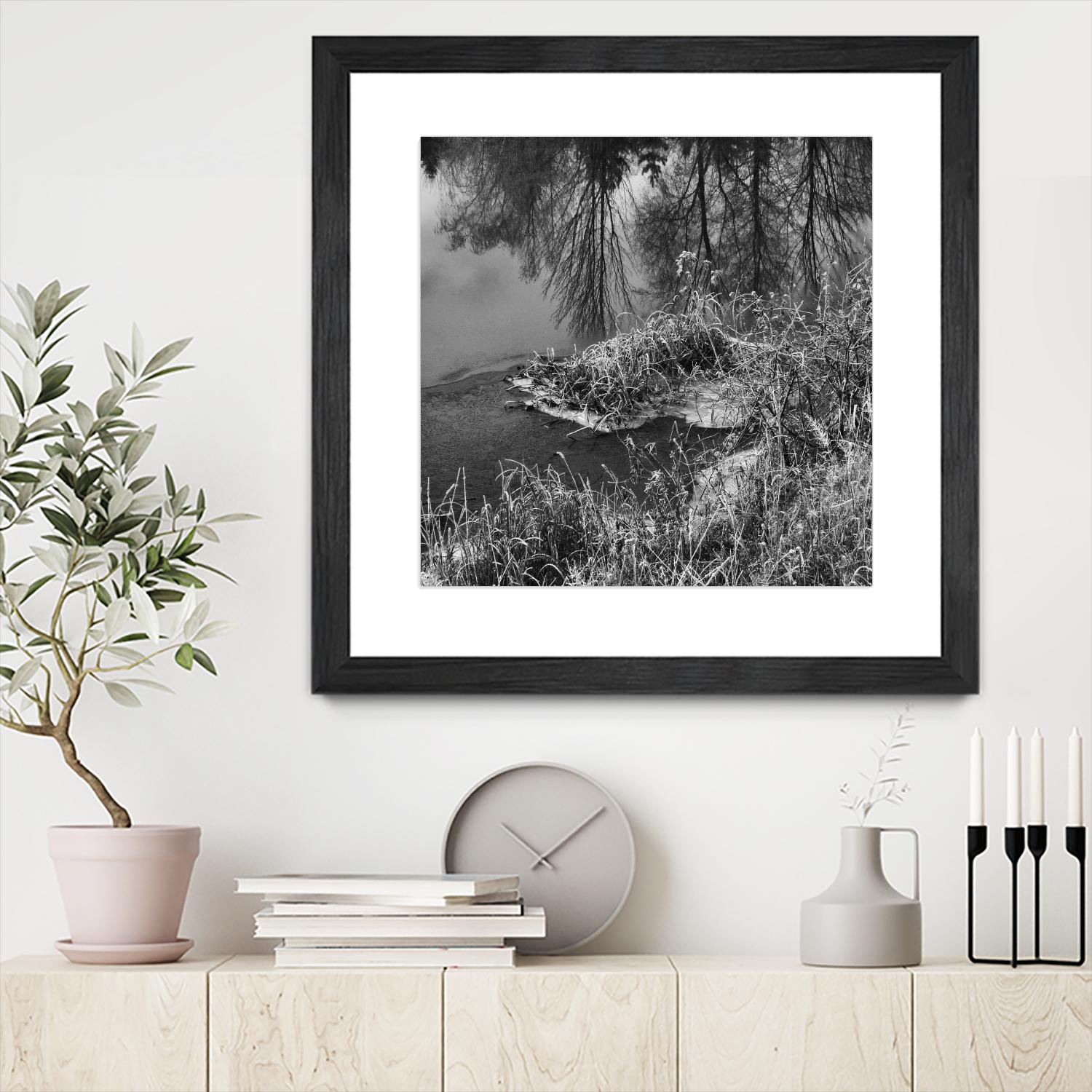 First Frost II by Jean-François Dupuis on GIANT ART - white black & white reflection
