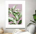 Palm of the Hand II by Daleno Art on GIANT ART - pink botanical nature