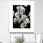 Dream of Dior I by Daleno Art on GIANT ART - orange abstract abstrait 
