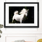 Candle 4 by Patrick Marshall on GIANT ART - black animals