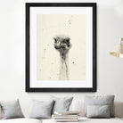 Watercolor Ostrich 2 by Ben Gordon on GIANT ART - beige animals