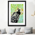 Peacock by Urban Soule on GIANT ART - green animals oiseau