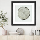 Woodland Years II by Sue Schlabach on GIANT ART - beige trees