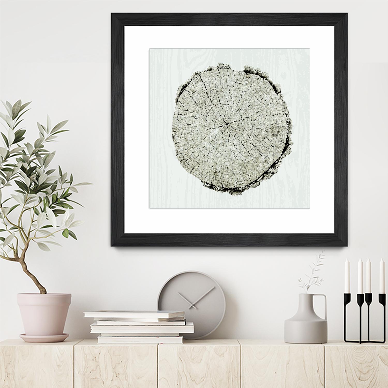 Woodland Years II by Sue Schlabach on GIANT ART - beige trees