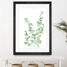 Eucalyptus II by Katrina Pete on GIANT ART - green botanical eucalyptus plants