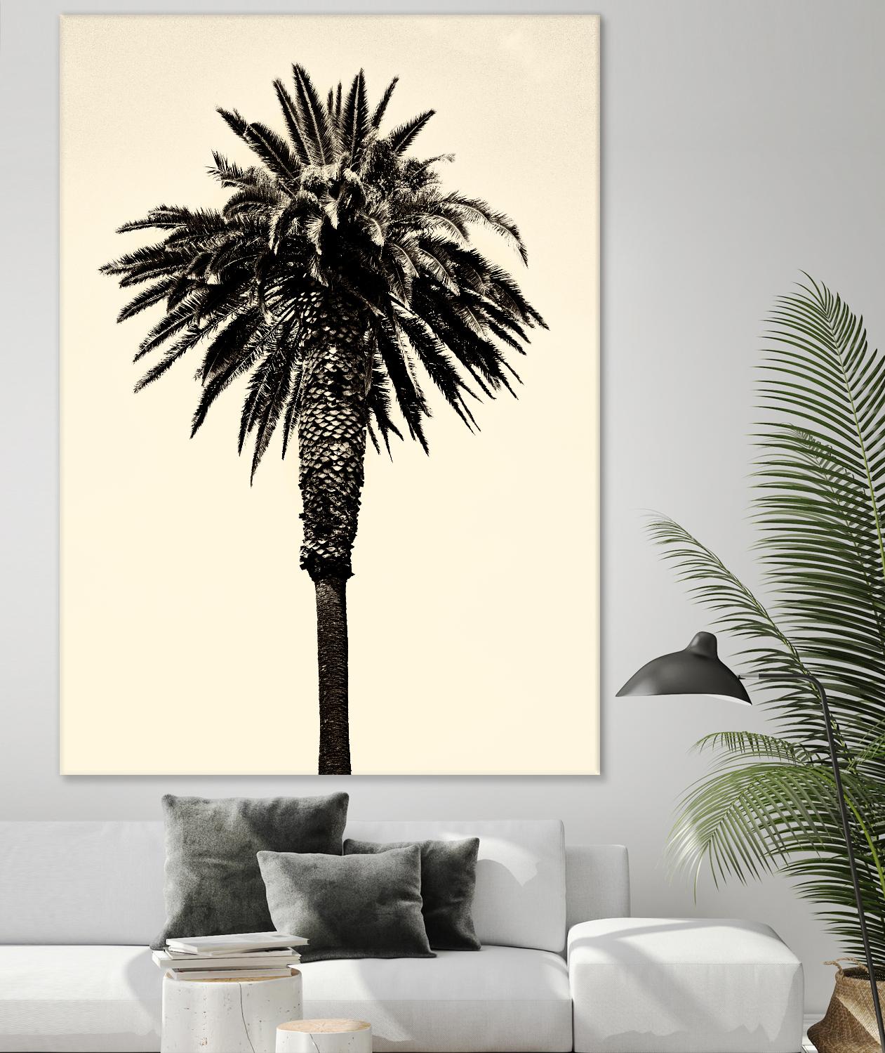 Palm Tree 1996 (Tan) by Erik Asla on GIANT ART - multicolor photography; contemporary
