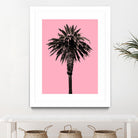 Palm Tree 1996 (Pink) by Erik Asla on GIANT ART - multicolor photography; contemporary