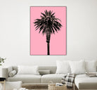 Palm Tree 1996 (Pink) by Erik Asla on GIANT ART - multicolor photography; contemporary