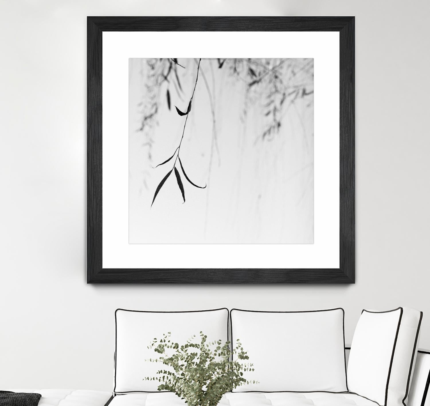 Willow Print No. 1 by Nicholas Bell on GIANT ART - multicolor photography