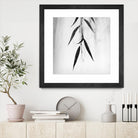 Willow Print No. 2 by Nicholas Bell on GIANT ART - multicolor photography