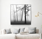 Etheral Trees by Nicholas Bell on GIANT ART - pink,orange landscapes, photography