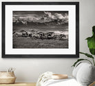 Mountain Range Mavericks by Lisa Dearing on GIANT ART - multicolor photography; animals