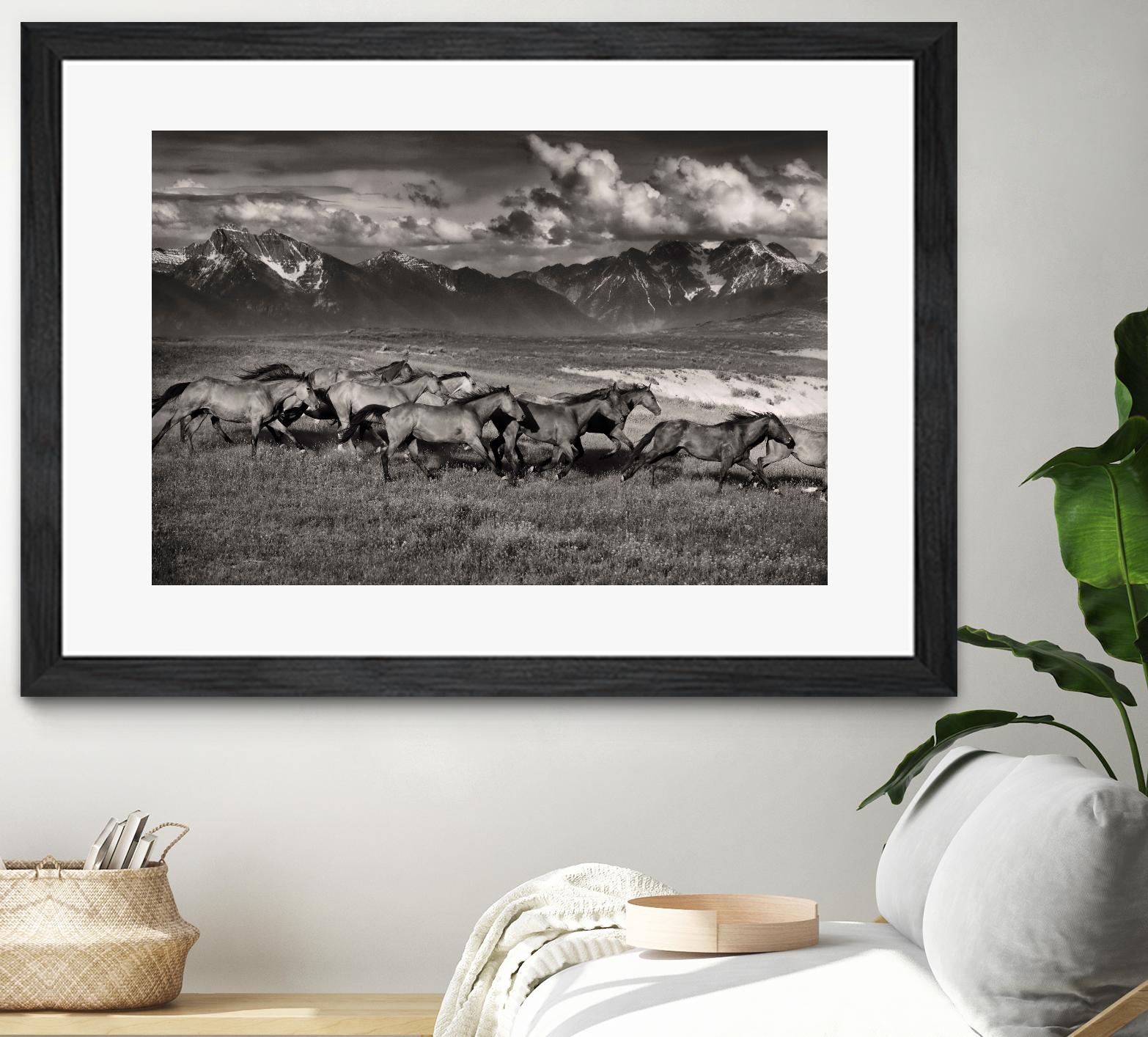 Mountain Range Mavericks by Lisa Dearing on GIANT ART - multicolor photography; animals