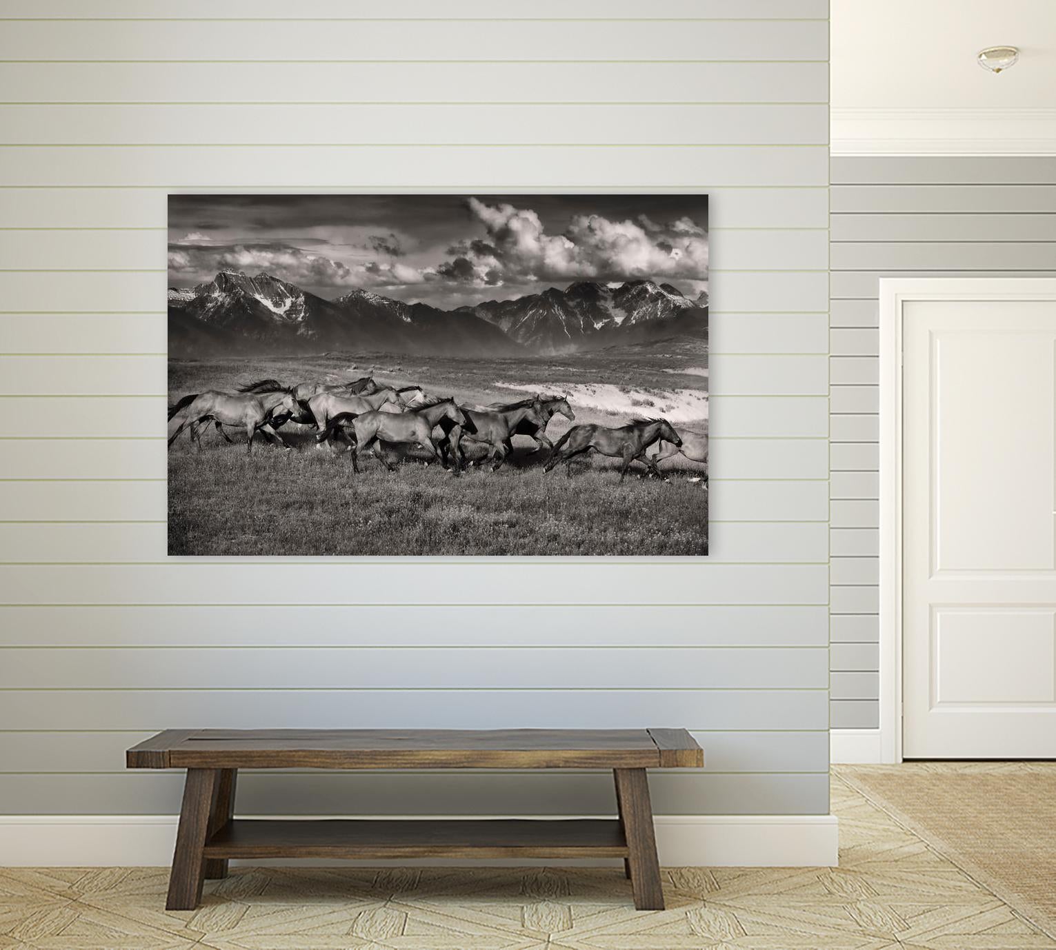 Mountain Range Mavericks by Lisa Dearing on GIANT ART - multicolor photography; animals