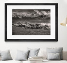 Mountain Range Mavericks by Lisa Dearing on GIANT ART - multicolor photography; animals